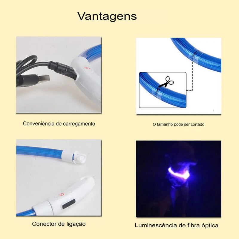 colar de led para cães