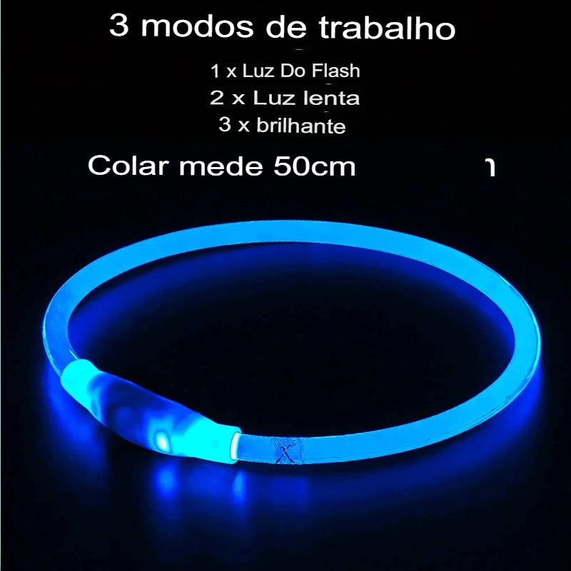 colar de led para cães
