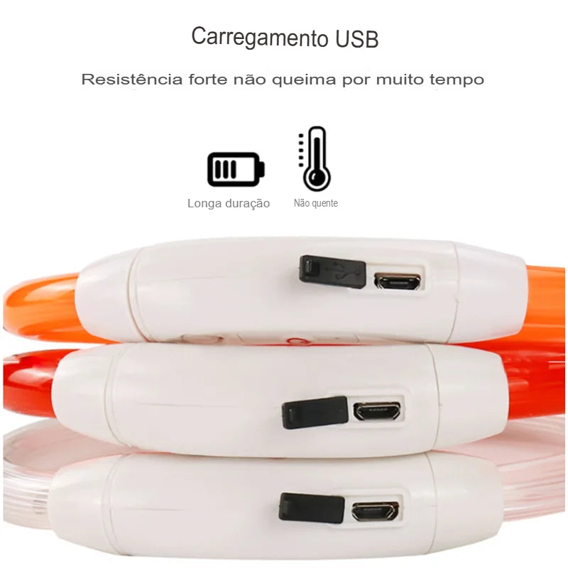 colar de led para cães